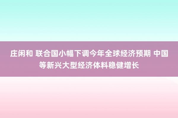 莊閑和 聯(lián)合國小幅下調(diào)今年全球經(jīng)濟(jì)預(yù)期 中國等新興大型經(jīng)濟(jì)體料穩(wěn)健增長(zhǎng)