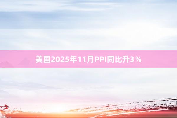 美國2025年11月PPI同比升3％