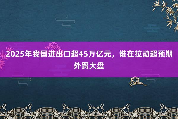 2025年我國進出口超45萬億元,誰在拉動超預期外貿(mào)大盤