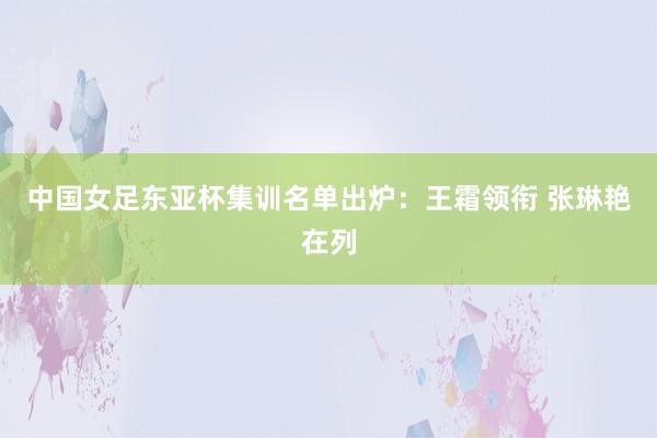 中國女足東亞杯集訓(xùn)名單出爐：王霜領(lǐng)銜 張琳艷在列