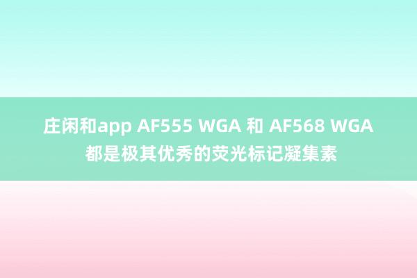 莊閑和app AF555 WGA 和 AF568 WGA 都是極其優(yōu)秀的熒光標記凝集素
