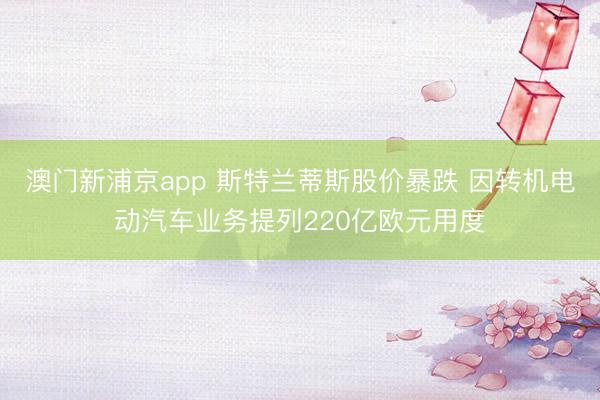 澳門新浦京app 斯特蘭蒂斯股價(jià)暴跌 因轉(zhuǎn)機(jī)電動(dòng)汽車業(yè)務(wù)提列220億歐元用度