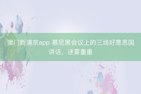澳門新浦京app 慕尼黑會議上的三場好意思國講話，迷霧重重