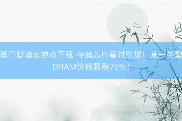 澳門新浦京游戲下載 存儲芯片霎時引爆！某一類型DRAM價錢暴漲75%！