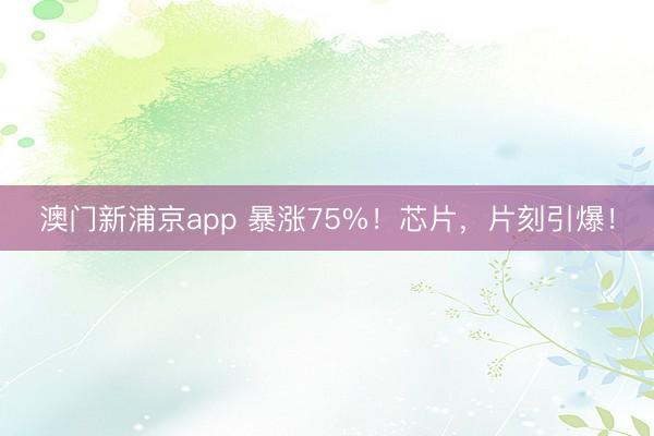 澳門新浦京app 暴漲75%！芯片，片刻引爆！