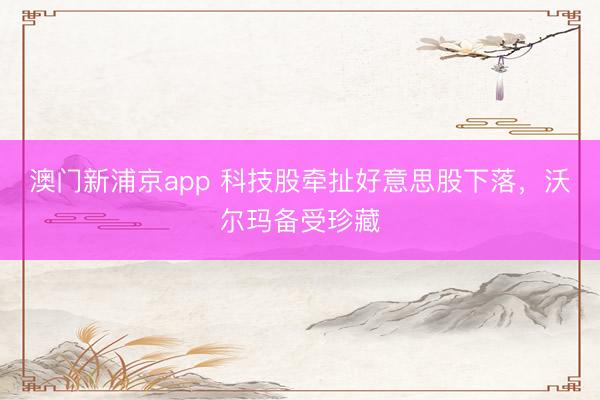 澳門新浦京app 科技股牽扯好意思股下落，沃爾瑪備受珍藏