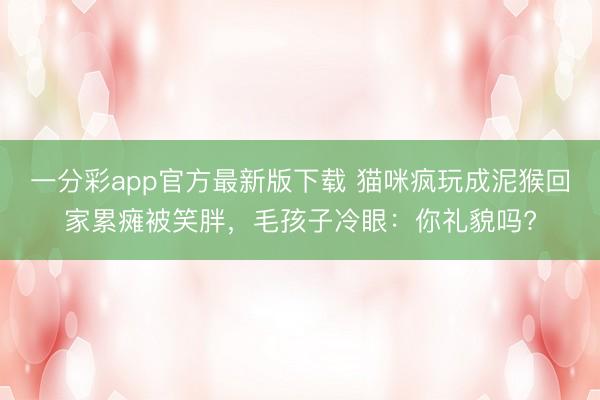 一分彩app官方最新版下載 貓咪瘋玩成泥猴回家累癱被笑胖，毛孩子冷眼：你禮貌嗎?