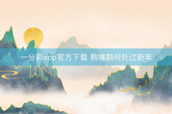 一分彩app官方下載 鹮嘴鷸何處過(guò)新年