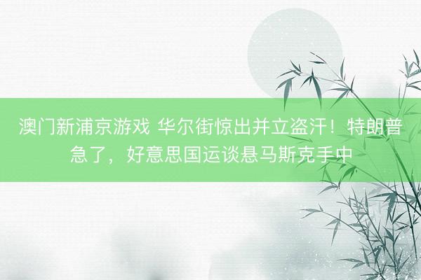 澳門新浦京游戲 華爾街驚出并立盜汗！特朗普急了，好意思國運談懸馬斯克手中